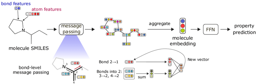 Chemprop model architecture