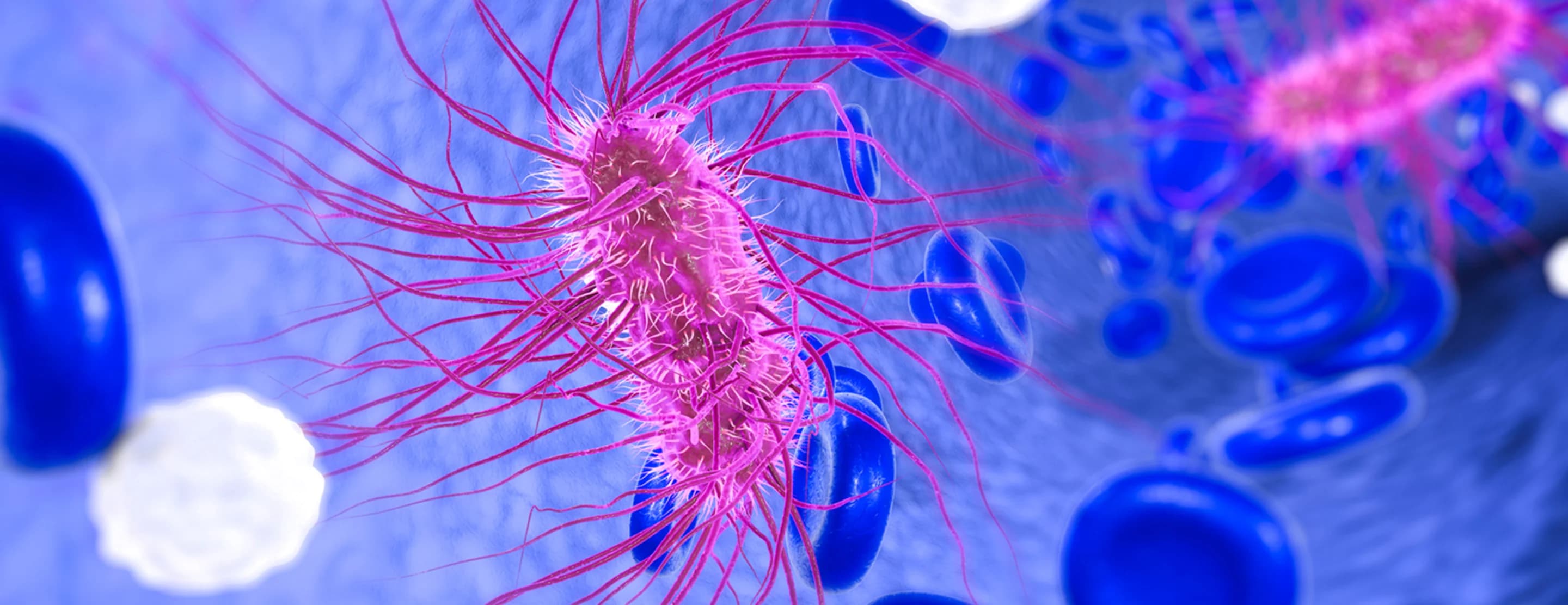 Directed Evolution Engineering E. coli to Detoxify Reactive Intermediates